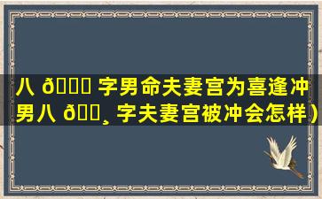 八 🐕 字男命夫妻宫为喜逢冲（男八 🌸 字夫妻宫被冲会怎样）